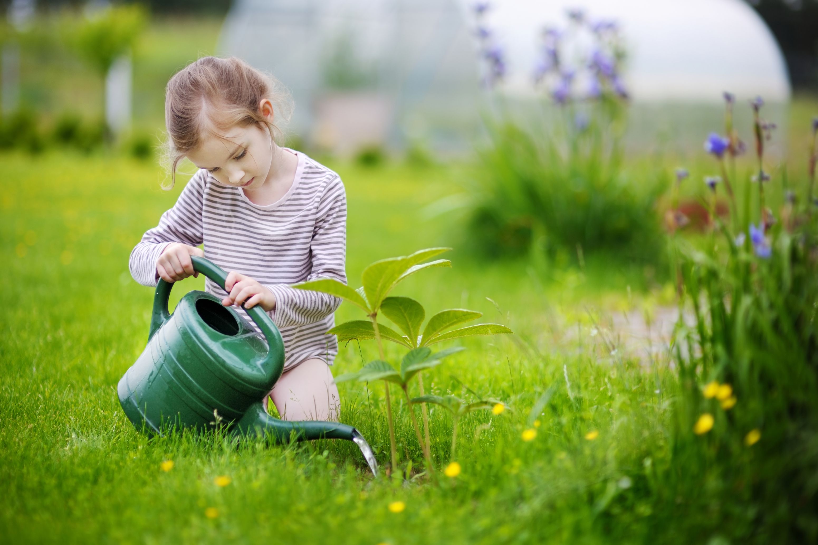 Opportunity for Children's Voices in Climate Change