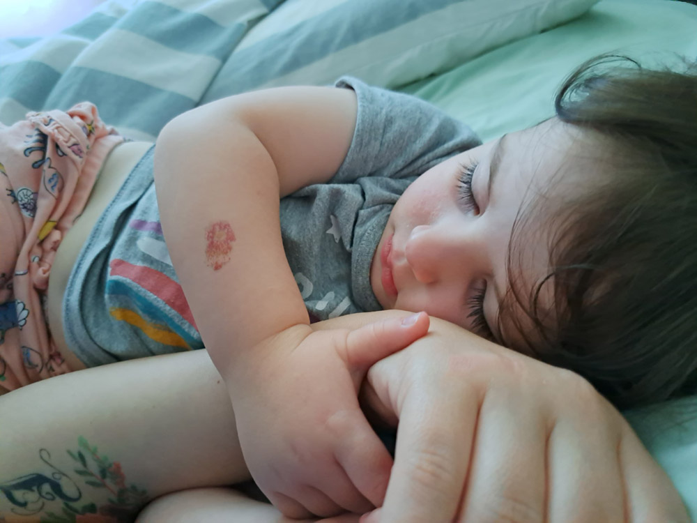 Napping-on-humans.jpg