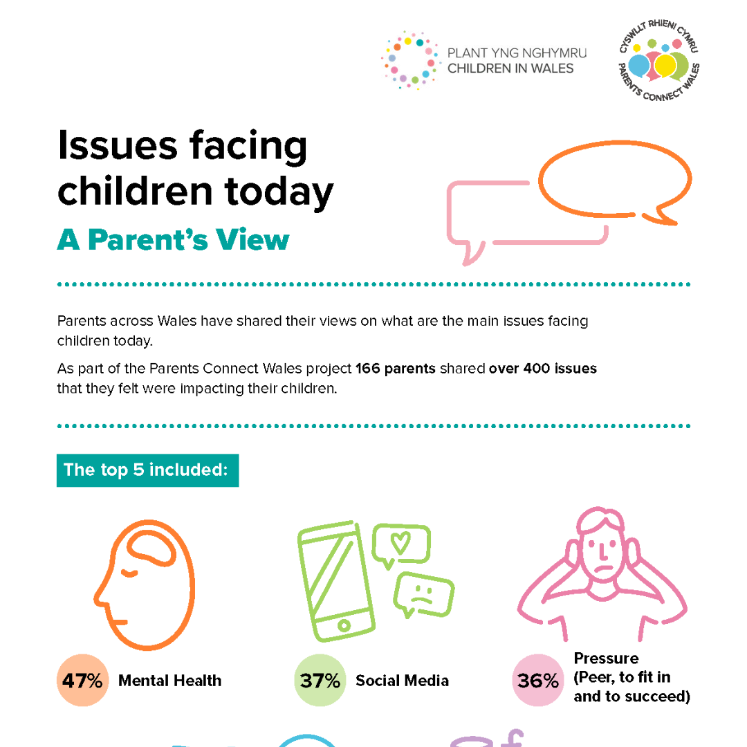 Top Issues Infographic thumb pic.png