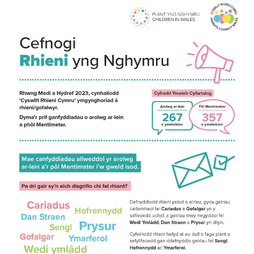 Supporting Parents info - website thumb welsh.png