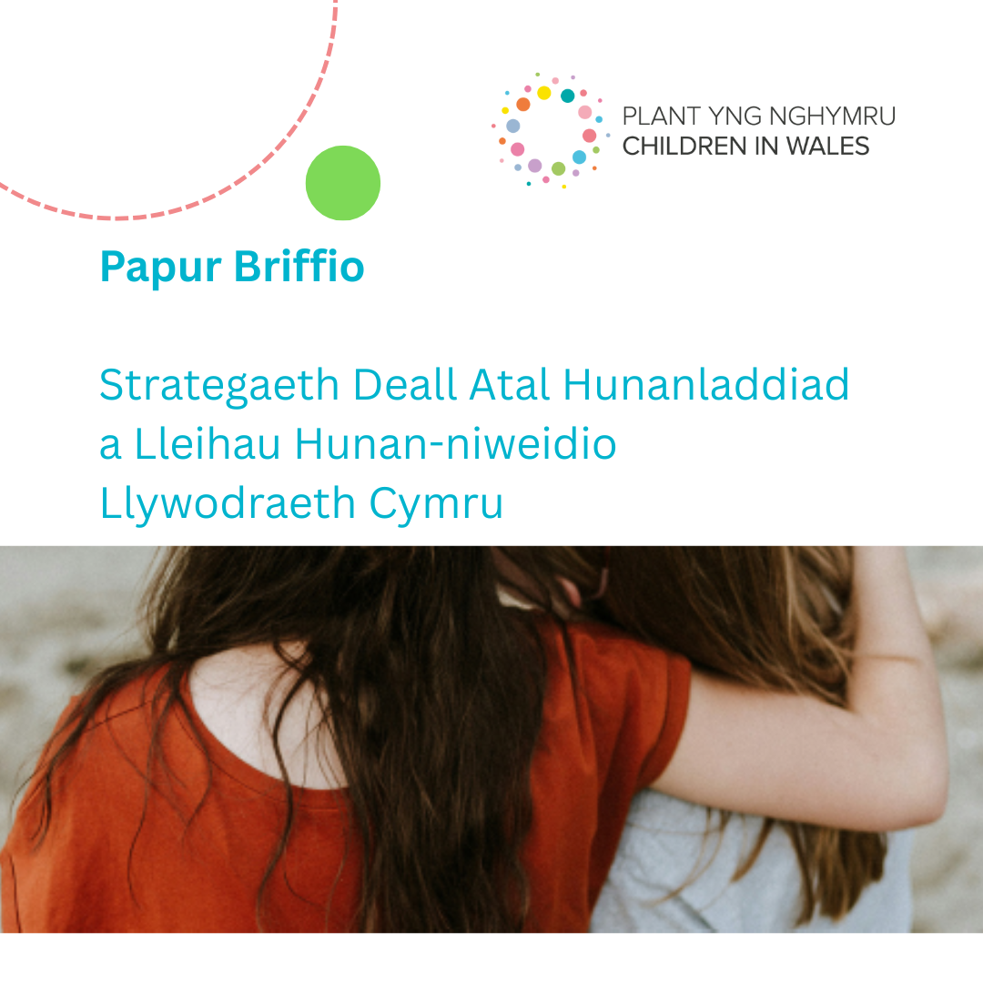 Darllenwch ein briff polisi diweddaraf ar Strategaeth Deall Atal Hunanladdiad a Lleihau Hunan-niwed Llywodraeth Cymru