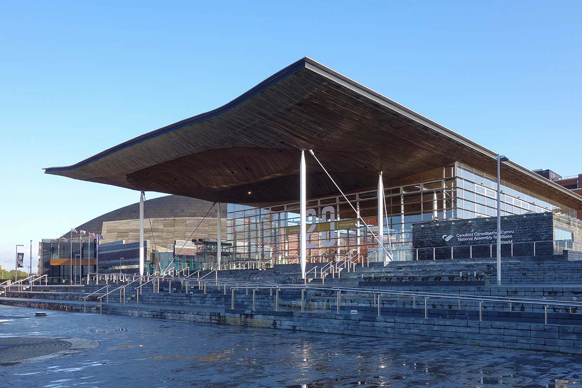 Senedd Senedd