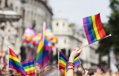 LGBTQ Flags.jpg